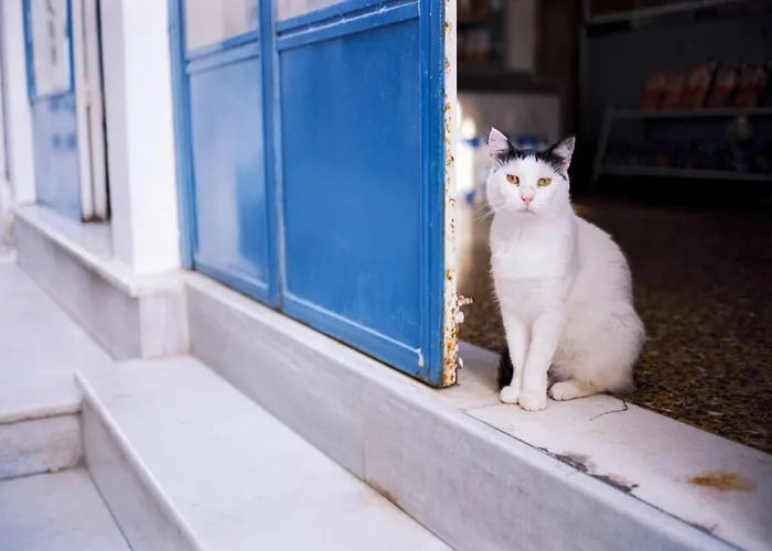 Luxury Santorini 1 Bedroom Stunning Sea Views & Outdoor Jacuzzi Villa *